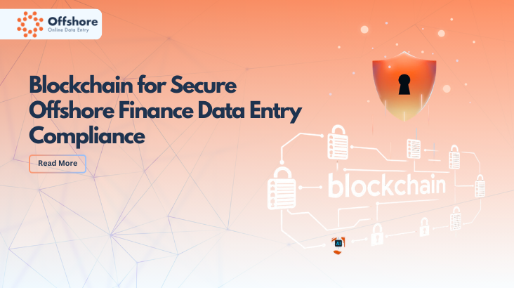 Offshore Finance Data Entry 