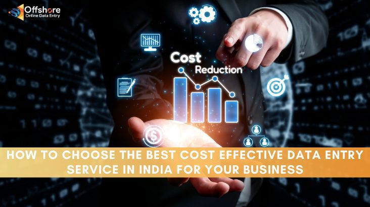 How to Choose the Best Cost-Effective Data Entry Service in India for Your Business